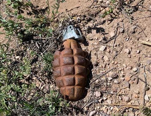 Grenade found and defused in Itahari