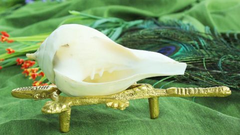 Dakshinavarthi Shankh Meaning, How To Identify & Importance