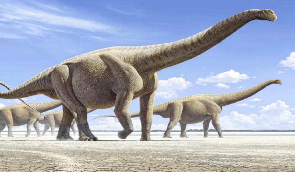 ज्वालामुखी में महाविस्फोट, मेगामॉनसून…धरती पर कैसे बढ़े डायनोसोर ? चला पता