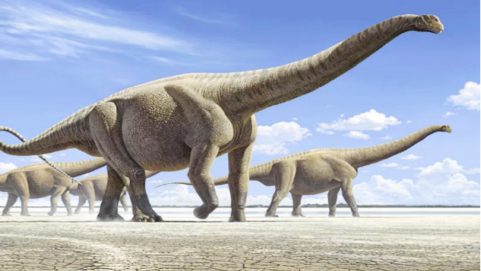 dinosaur डायनासोर