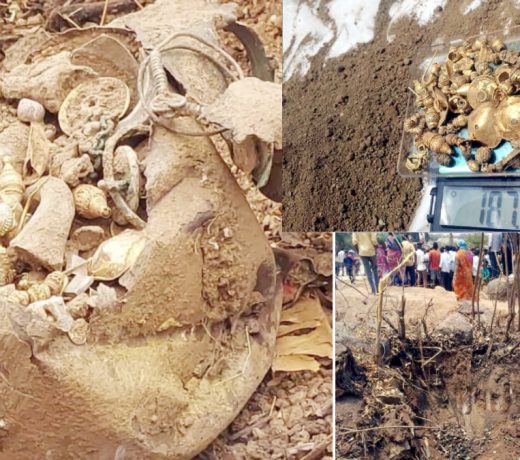 किस्मत चमकी तो क्या नहीं होगा, बंजर जमीन खोदकर मिले लाखों कीमती खजाने