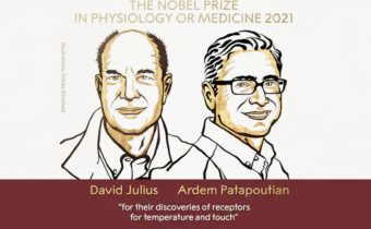 This year's Nobel Prize in Medicine goes to Julius and Patapotian