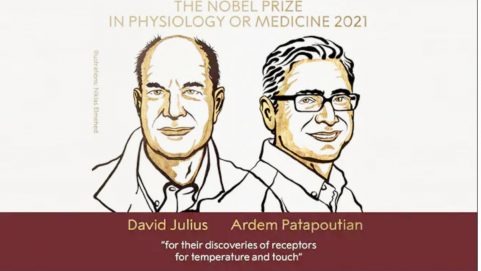This year's Nobel Prize in Medicine goes to Julius and Patapotian