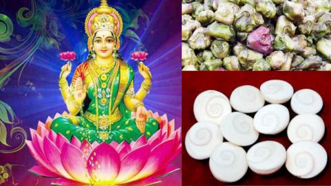 astro these six things must be included in mahalaxmi puja on diwali pooja there will be increase in wealth and grain