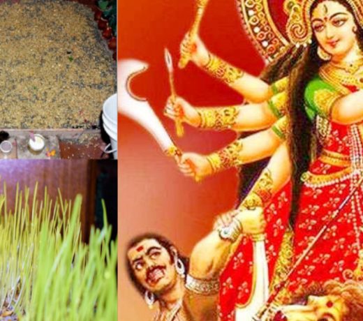 नवरात्रि / घटस्थापना: महत्व, पूजा विधि और आवश्यक सामग्री Navratri / Ghatsthapana: Importance, worship method and necessary materials