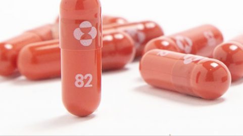molnupiravir antiviral pill cuts COVID-19 hospitalization and death rates
