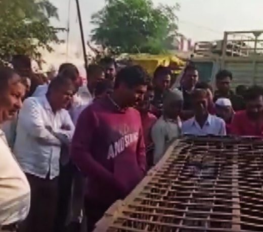 अपने एक बच्चे की हत्या में मारे गए 250 से ज्यादा, आखिर गिरफ्तार हुआ बंदर !