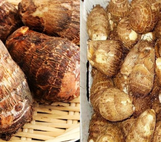 Health Tip: सर्दियों में जरूर खाएं ये सब्जी, मोटापा कंट्रोल करने में करेगी फायदे