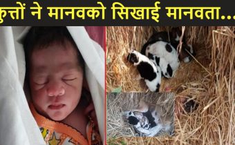 one day old newborn was left among the dog in the foot