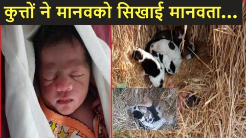 one day old newborn was left among the dog in the foot