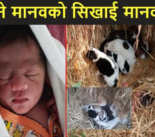 कलियुगी मां ने 1 दिन की बच्ची को उसके पाप छुपाने के लिए फेंक दिया, कुत्ते ने रात को ढका और बचाई जान
