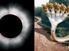 जानिए इस साल के सूर्य और चंद्र ग्रहण के बारे में: किसका क्या प्रभाव, किसको मिली सफलता