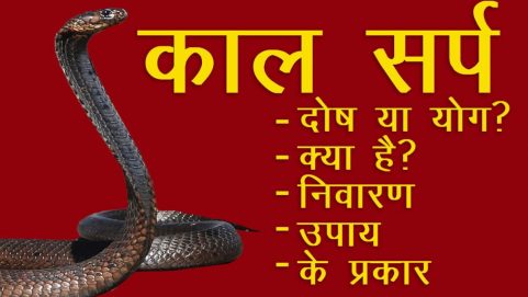 mauni amavasya 2022 do these 5 things get freedom from kaal sarp dosh