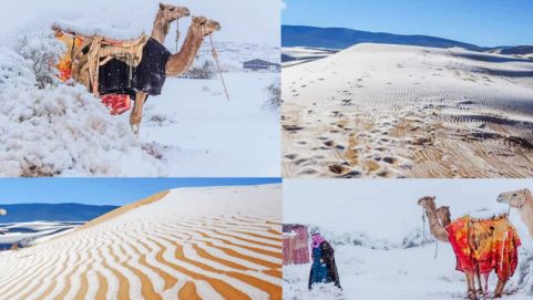 SNOW falls in the SAHARA Ice blankets the dunes in rare desert phenomenon after temperatures plummeted overnight