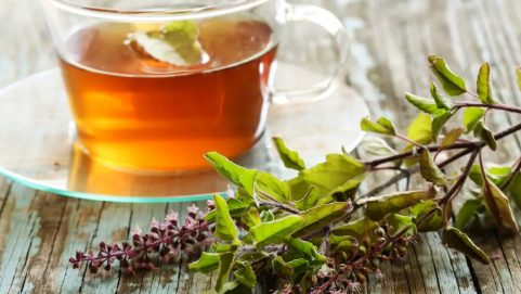 tulsi tea recipe and ingredents healthy and immunity booster drink tulsi tea how to make