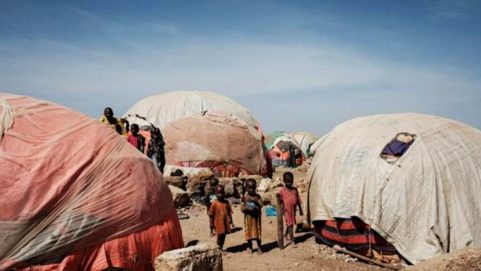 Millions of Somalis at risk of famine UN agencies