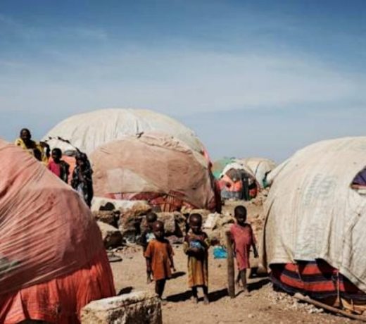 Millions of Somalis at risk of famine: UN agencies