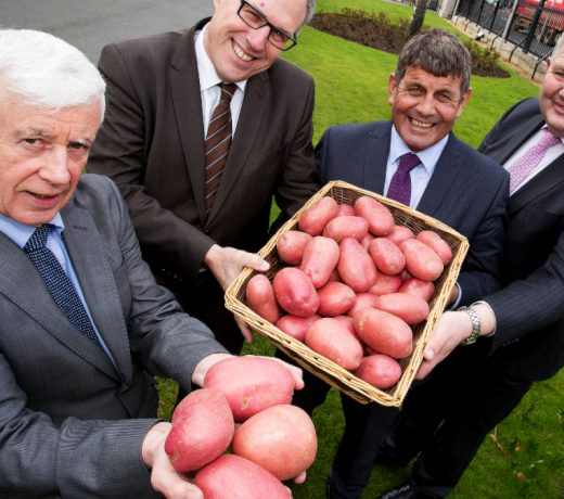 World Potato Congress held in Dublin