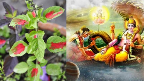 nirjala ekadashi 2022