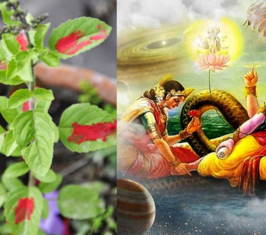 आने वाली निर्जला एकादशी पर न करें ये 4 गलतियां, फल होगा अशुभ