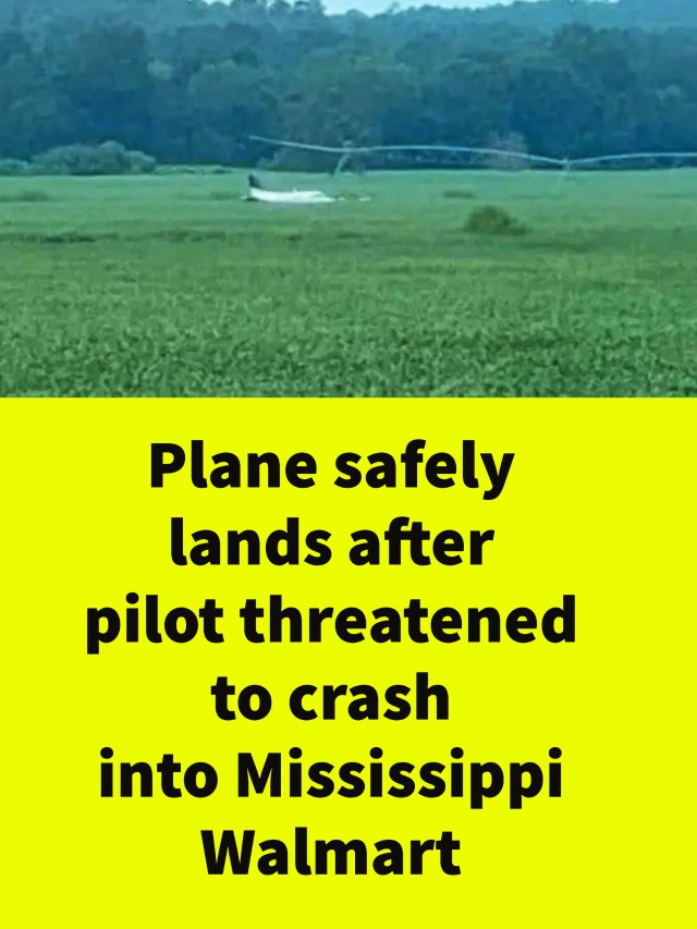 Hijacked plane lands safely, pilot arrested