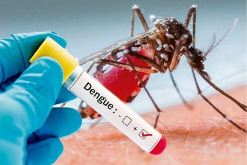Dengue