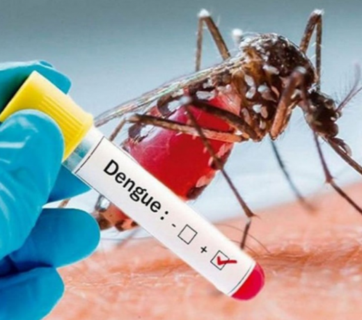 Dengue fever: Symptoms, treatment and prevention