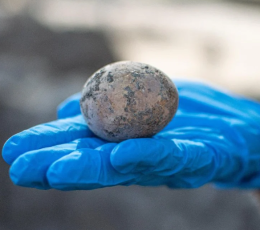 Israel discovers 1,000-year-old doll made of bone