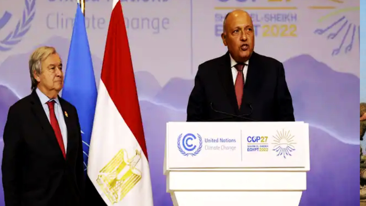 My project 1 2022 11 19T034529.264