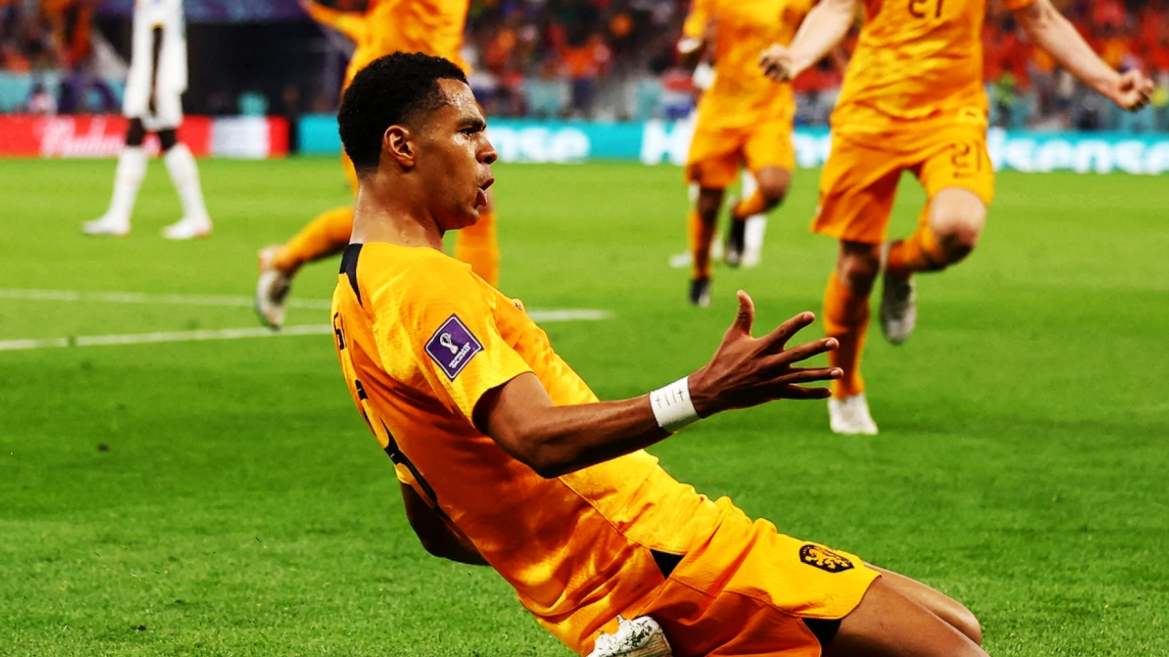 My project 1 2022 11 22T113509.804