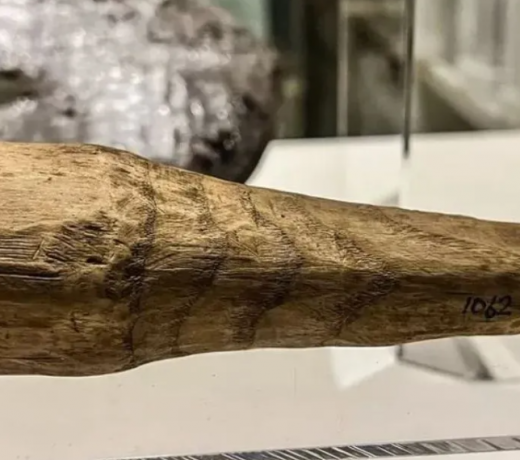 A 2,000-year-old ‘sex toy’ is found : you’ll be shocked to hear what the searchers are saying