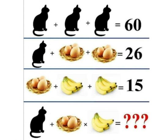 Can You Solve the Cat, Eggs, and Bananas Puzzle ? Discover the Answer Here !