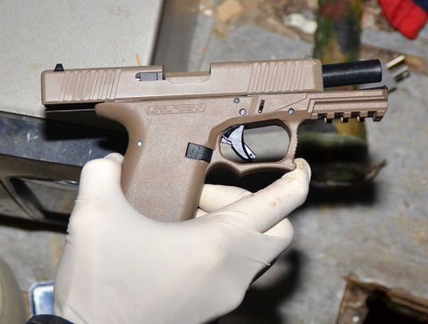 domestic gun America