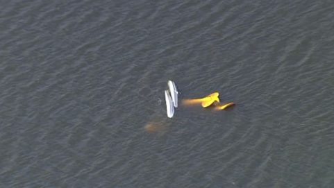 Florida plane crash : Four people killed, including two Indians