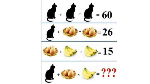General Knowledge GK