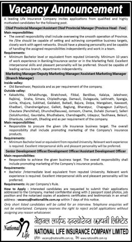 National Life Vacancy 11 656x1200 1