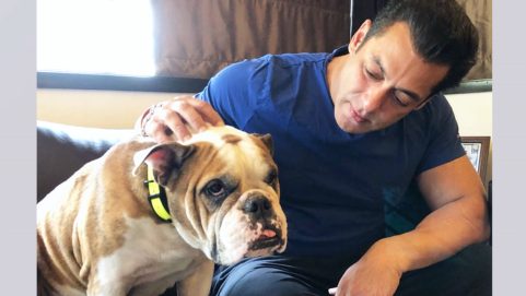 Salman Khan Loses His Beloved Companion