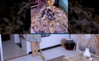 Girls’ Hostel Condoms Case