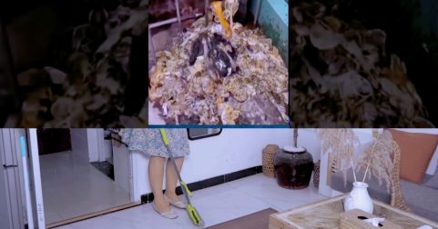 Girls’ Hostel Condoms Case