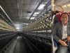 The country’s largest industry has been closed due to Energy Minister Ghising’s decision, 3,500 workers have been put on leave