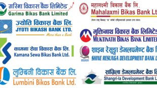 Net Profit of National-Level Development Banks Drops by 52 Percent