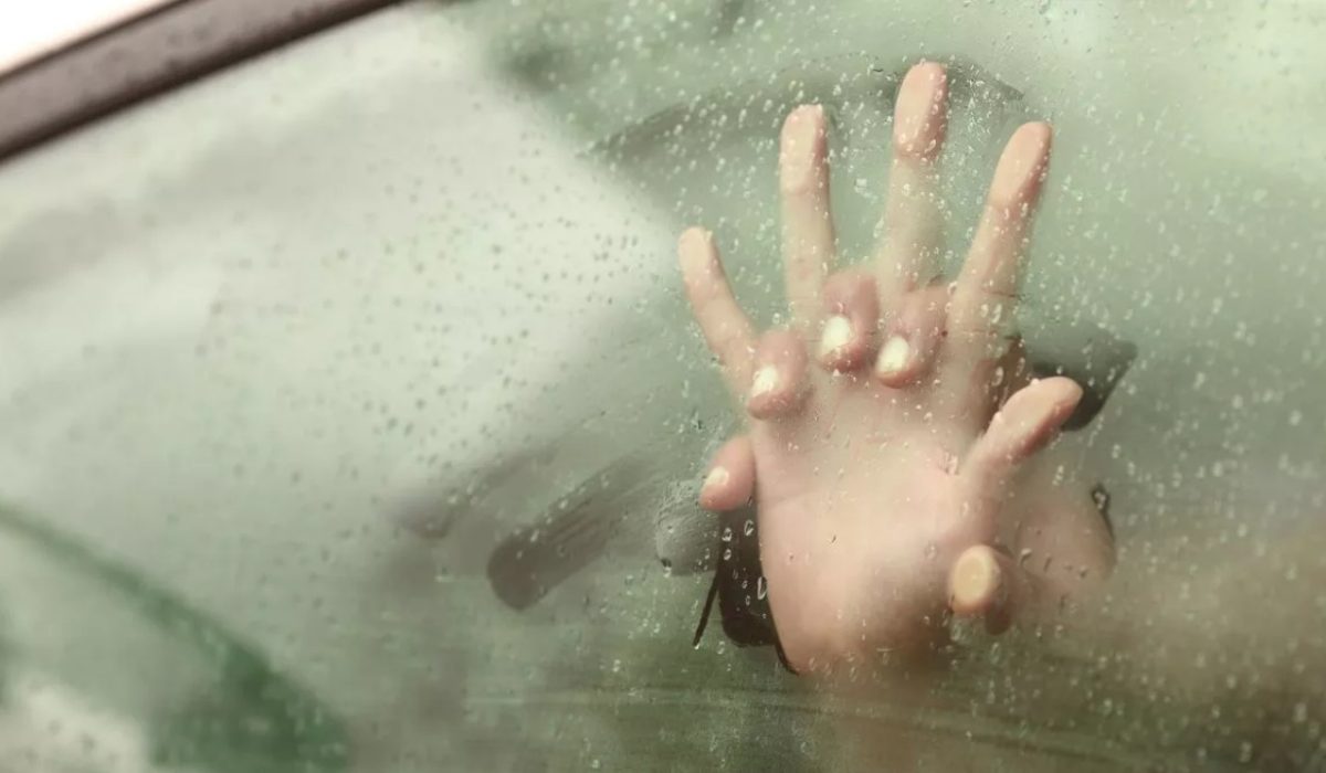 During Wildlife Park Visit, Students Caught a Couple in the Act Inside a Car…