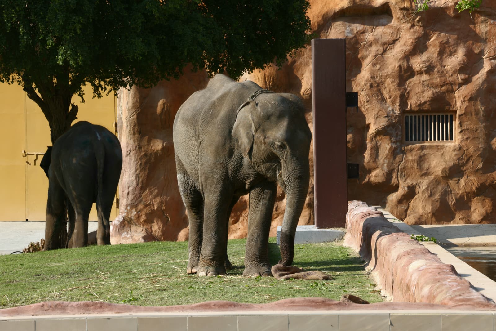 598140439 1293829022778323 6914481139568225933 n