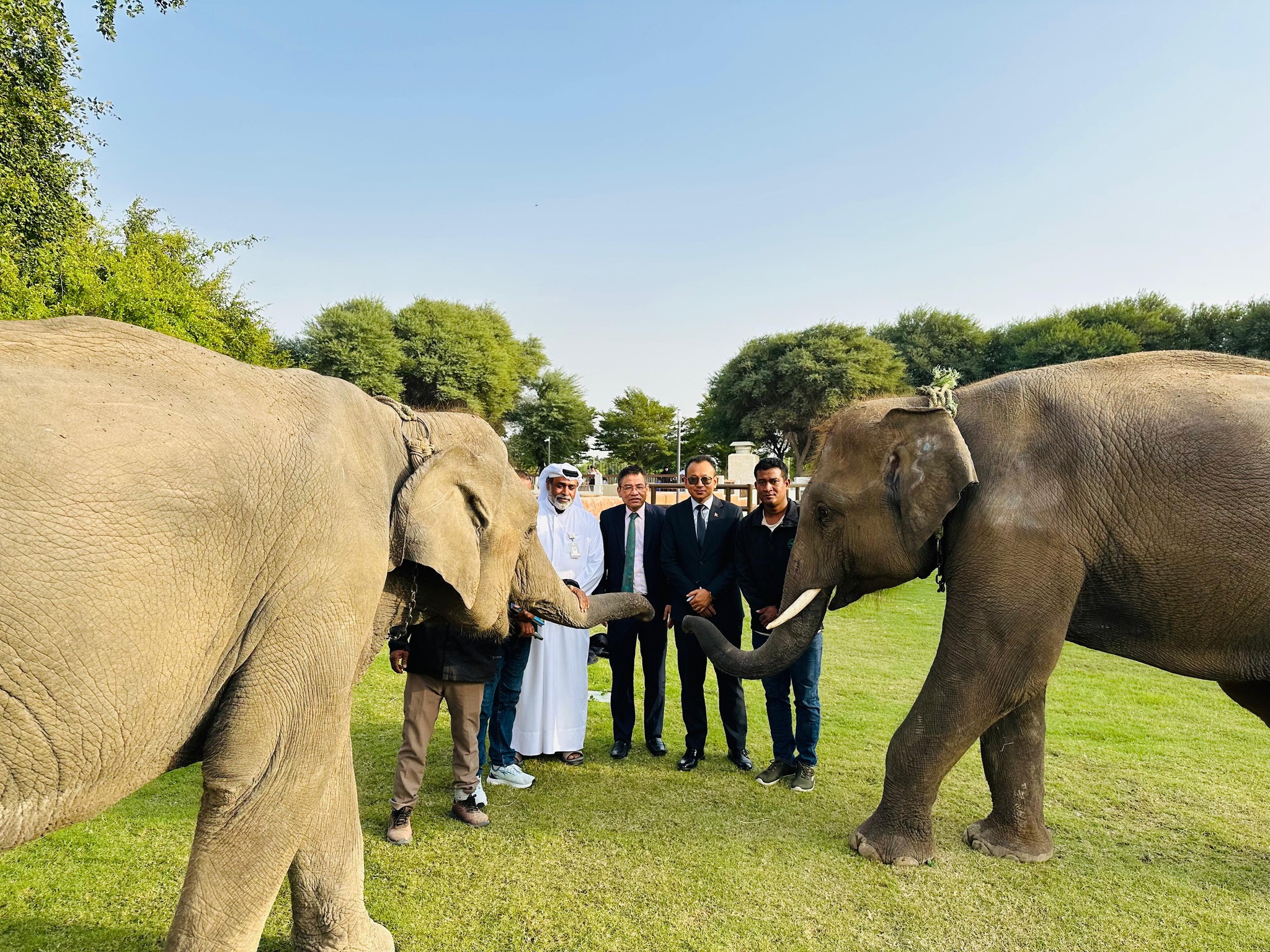 599951347 1283028433855624 8587995234123443351 n