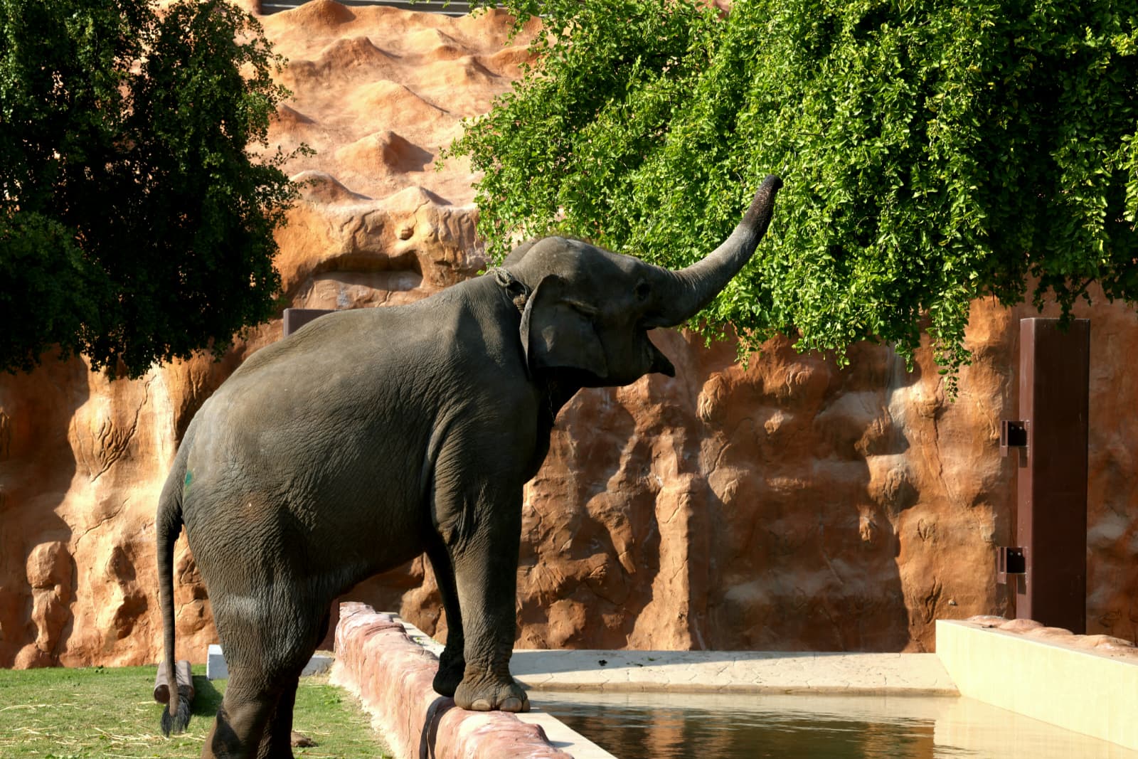 599958256 1293829016111657 181455399597089905 n