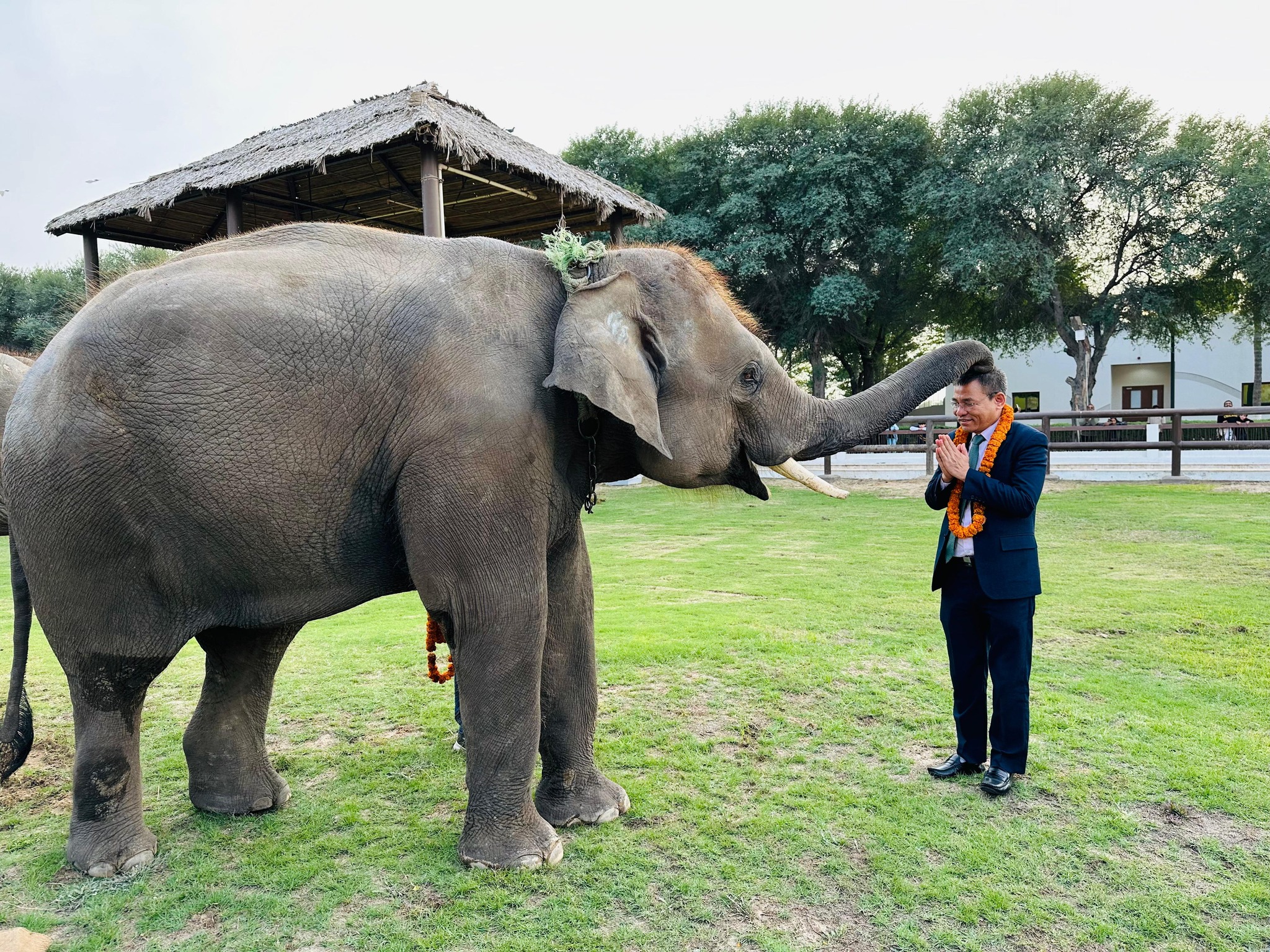 600391383 1283028323855635 6178522177185866265 n