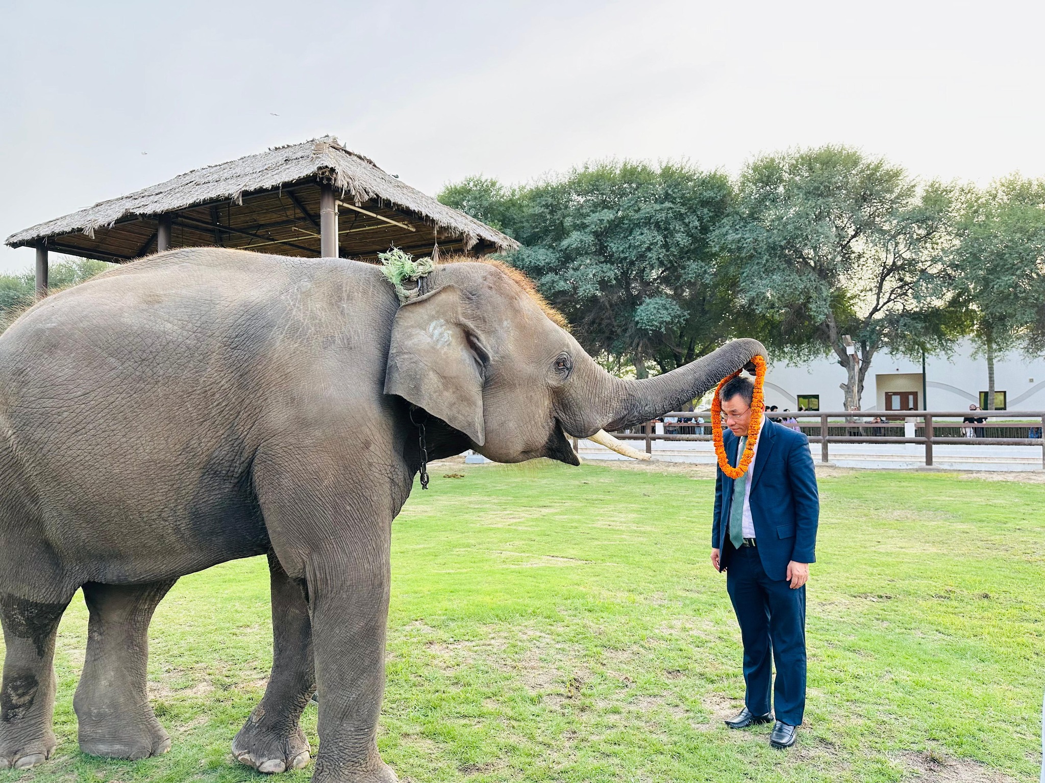 600420596 1283028320522302 2203181853680412782 n