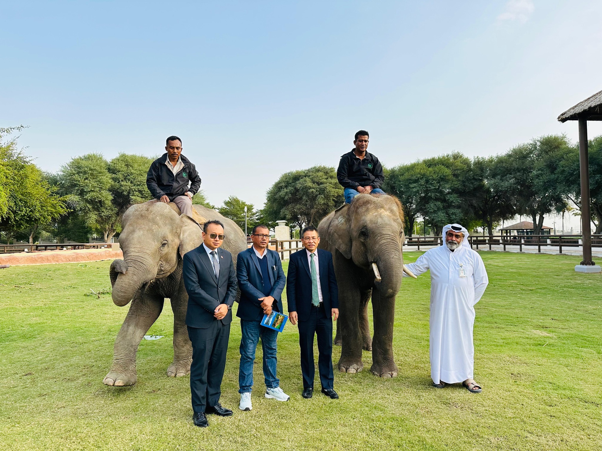 600883848 1283028437188957 3653758652365283399 n