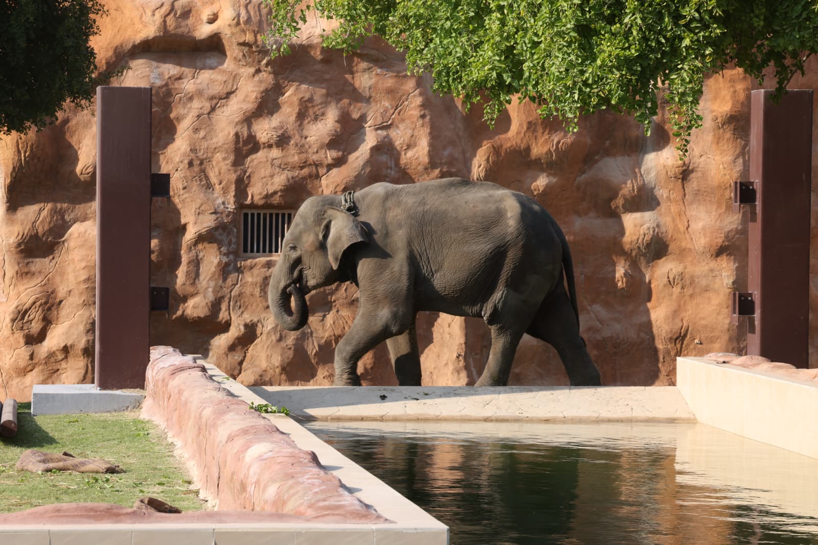 603787483 1293829009444991 4249487487447738145 n