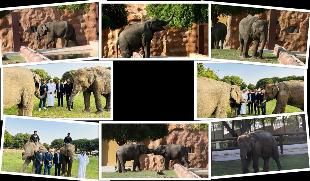 Chitwan’s Khagendra and Rudrakali Enjoy Life in Qatar, See These 10 Stunning Photos